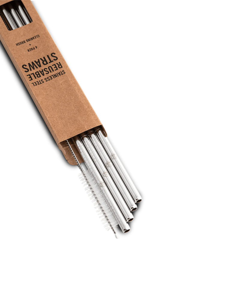 24Bottles Stainless Steel Reusable Straws - 4 Pack with Cleaning Brush [F]