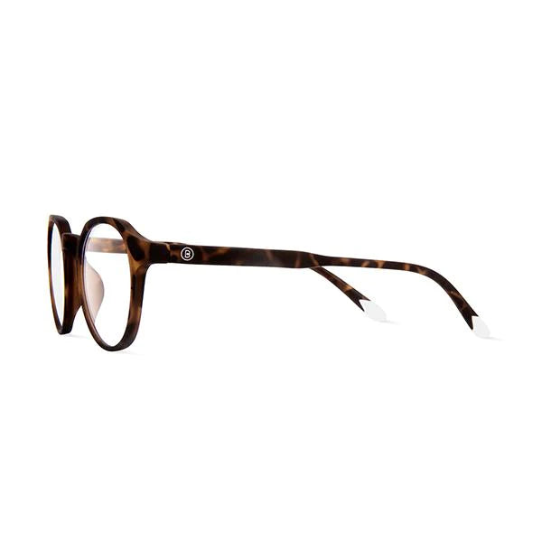 Barner Le Marais Glasses - Tortoise - نظارات بارنر لو ماريه - سلحفاة