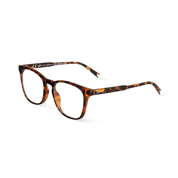 Barner Dalston Kids Glasses - Tortoise - نظارات بارنر دالستون كيدز - لون السلحفاه
