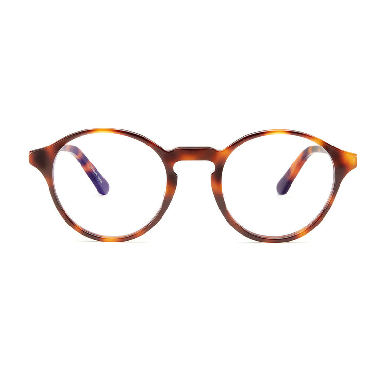 Barner Shoreditch Glasses - Havana - نظارات بارنر شورديتش - هافانا