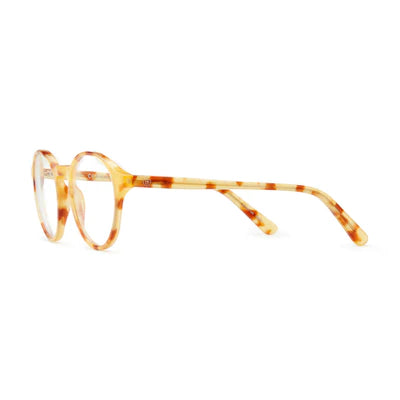 Barner Shoreditch Glasses - Light Havana - نظارات بارنر شورديتش - هافانا فاتح