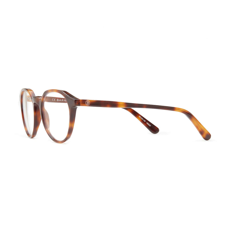 Barner Williamsburg Glasses - Havana - نظارات بارنر وليامزبيرج - هافانا