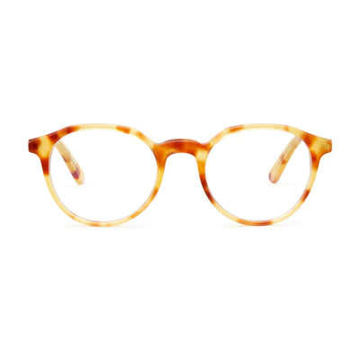 Barner Williamsburg Glasses - Light Havana - نظارات بارنر وليامزبيرج -  هافانا فاتح
